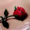 user8647230404202