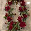 noor_moon202