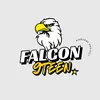 falcon_nineteen
