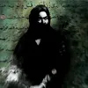 amer.ali313