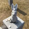 mini0120mayu