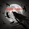 night_raven5000