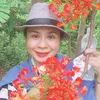 phiphung674