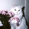 alexys_053