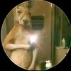pablo_s2301