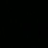 ni_el81