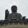 thisismaxwellsdoing