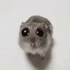 tom_cu0