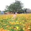 huynhhoa2412