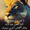 mohammadyamini235