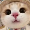 muth.nuon