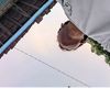 yoichi_daniee