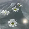 _khlysh