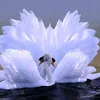 swan_lalala