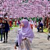 Ucu Musyarofah