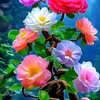 user1261151067160