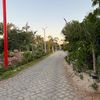 adam_.yeghi71