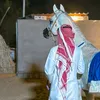 aboody_5.3