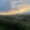 zackingrxm