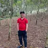 daiviet..com.vn