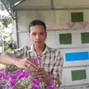 nvt_ho