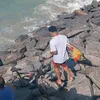 davibaio2