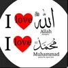 gity.akrami