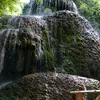 francisconavarro460