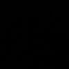 313_aliiev.vv