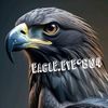 eagle.eye804