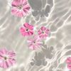 am.ameer310