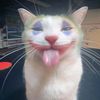 asyimqk777_