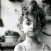 dove_4_2021