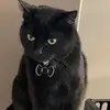 mrcoolguy098