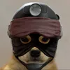 josh_games4