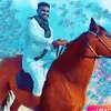 alkinabe0