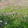 5rabsheh