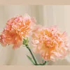 elie_22798