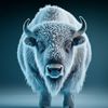 greatwhitebuffalo9