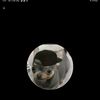 loquera142_oficial24
