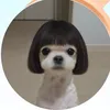 nlemeo