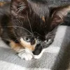 lilly_03.04.21
