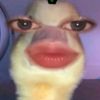 iniipacarjaeminnn