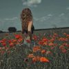 ylia_____1