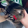 _.hqchi
