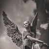 mercuury_