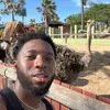 1m.musa