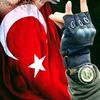 gulderya68