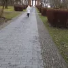 lebedenko.vera
