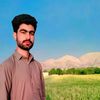 bilalhaqparast804